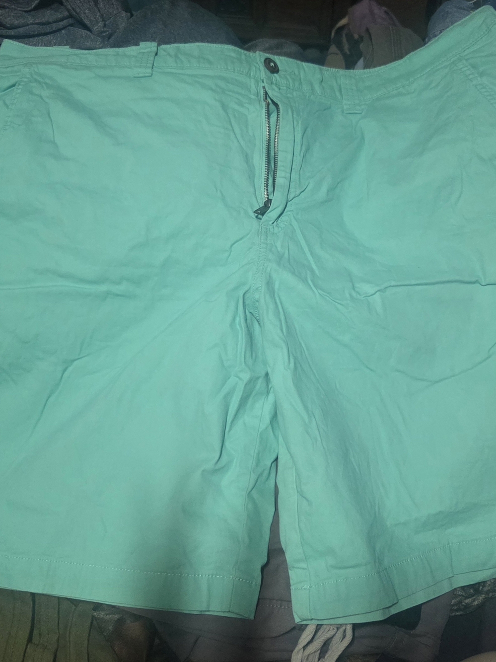 Magellan Outdoors Mint Green Flat Front Shorts